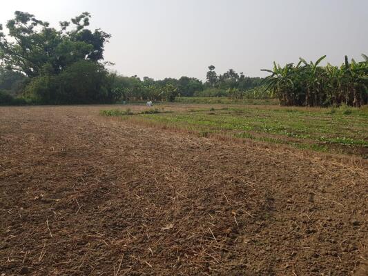 Residential Land/Plot for Sale in Ujaan Nagar, Action Area 2, Kolkata