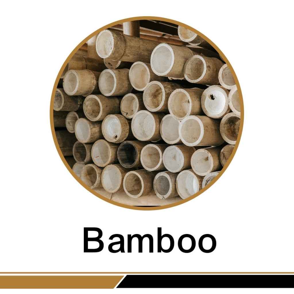 Bamboo